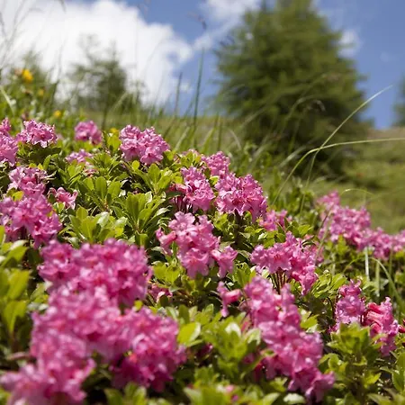 Ennskraxblick Kleinarl