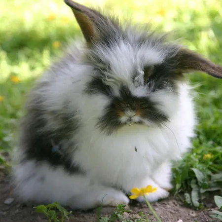 Ennskraxblick Ξενοδοχείο 3*