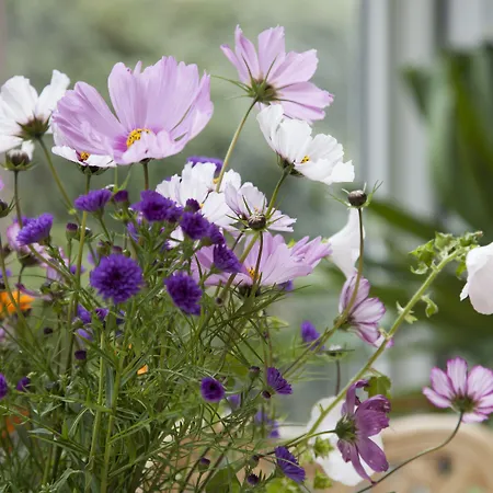 Ennskraxblick Ξενοδοχείο